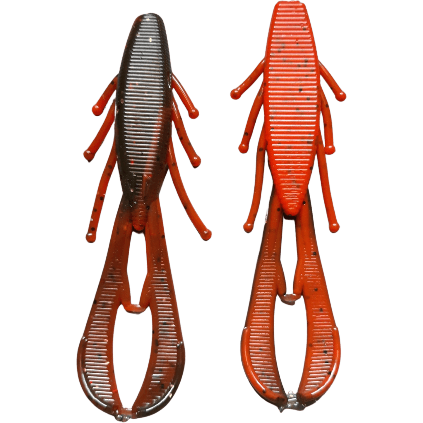 4.25" Mauga Bug Crawbug